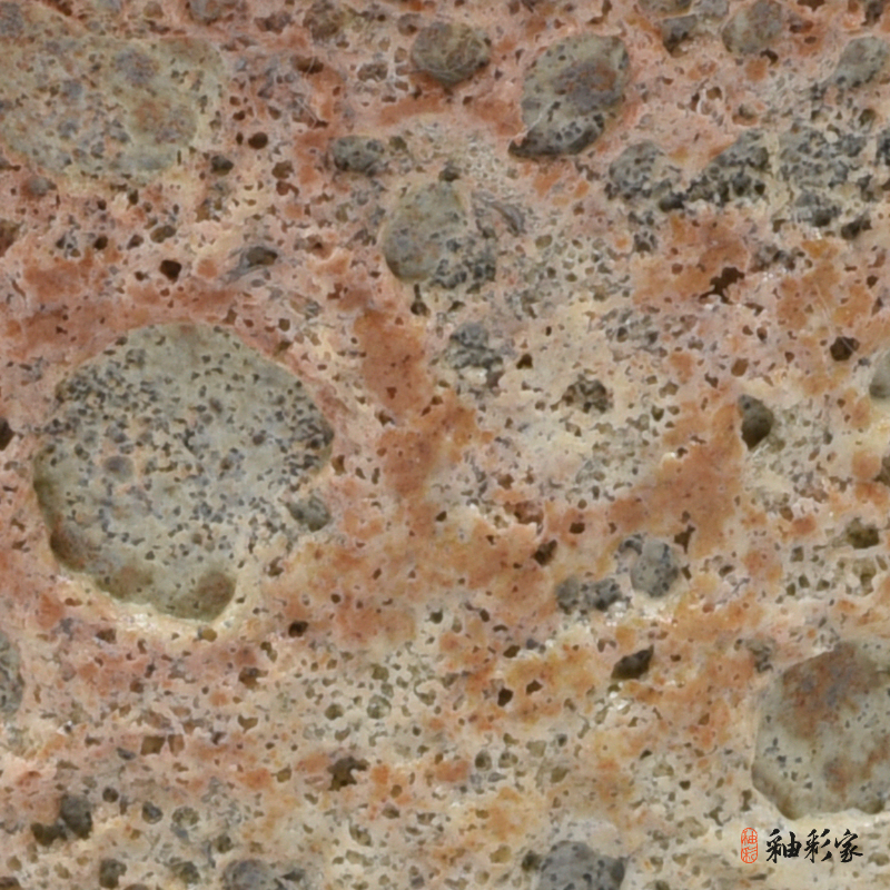 珊瑚玳瑁-紅珊瑚