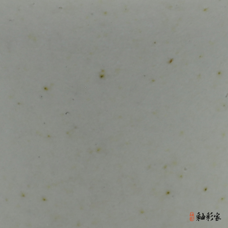 點雪紛紛-斑點雪白