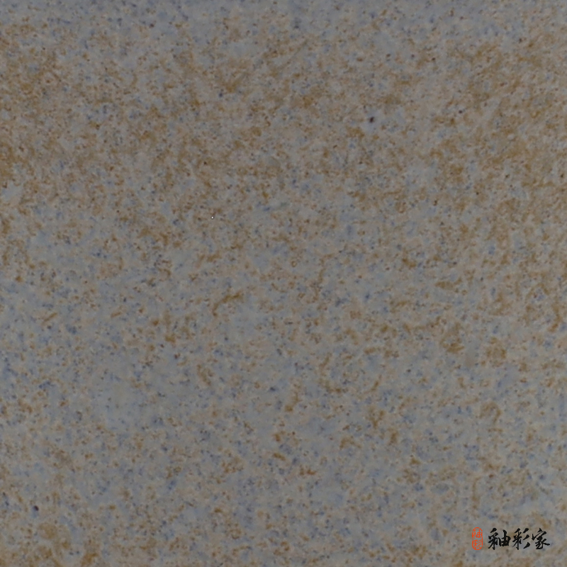 籬邊黃菊-菊黃斑