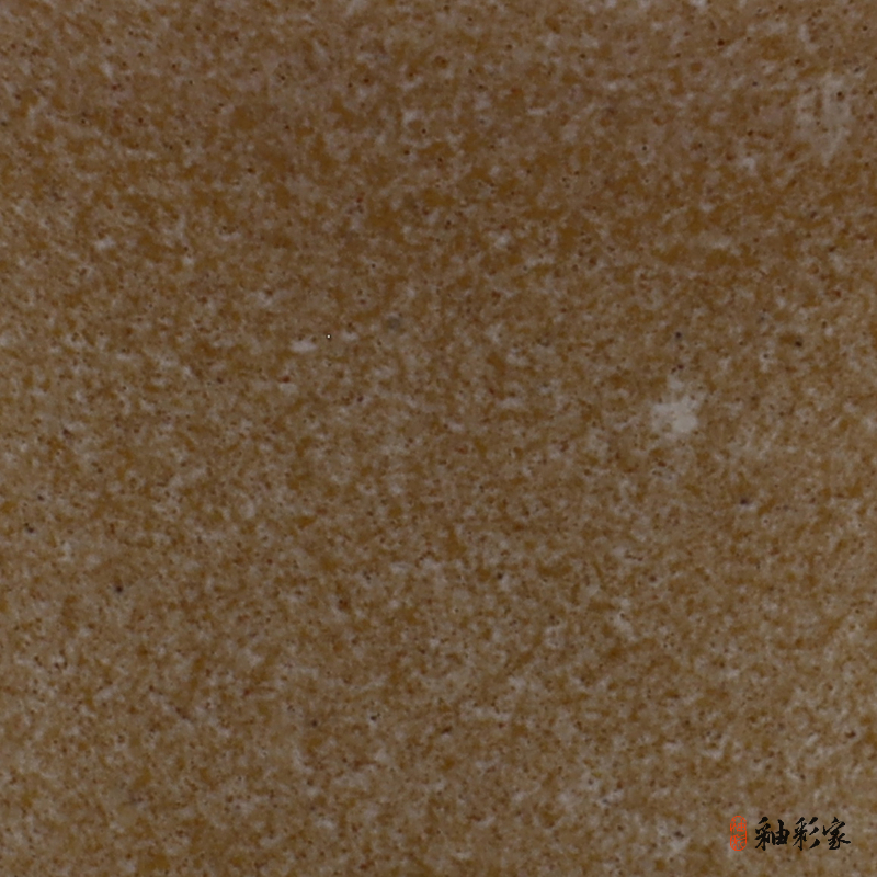 籬邊黃菊-菊黃斑