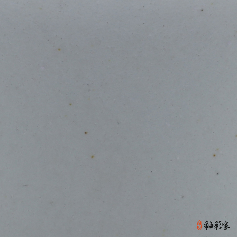 花飛雪絮-雪花白