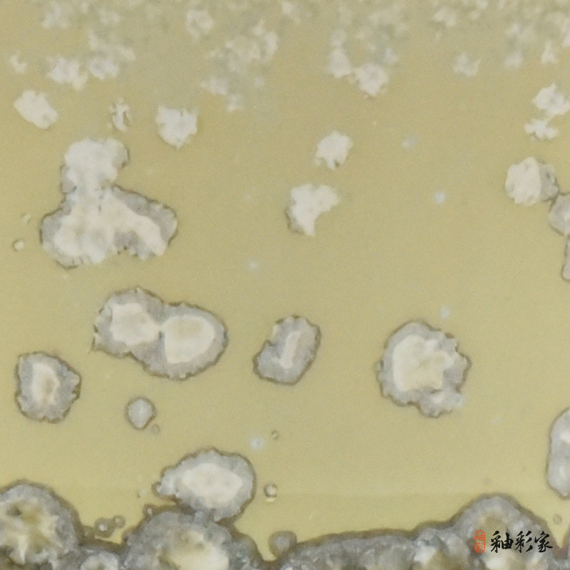 花開花落-花紛飛