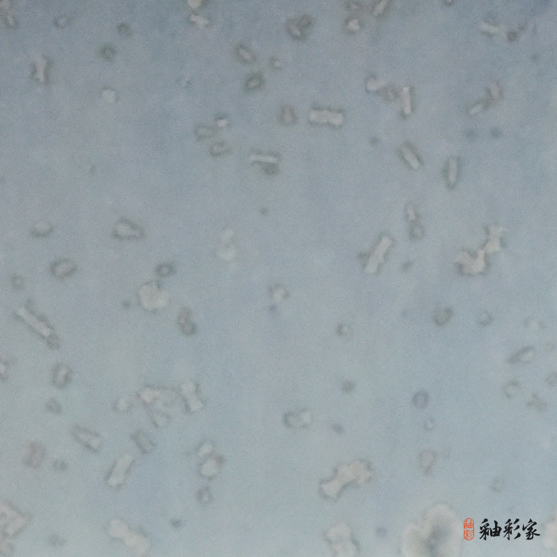 爛漫桐花-白桐花