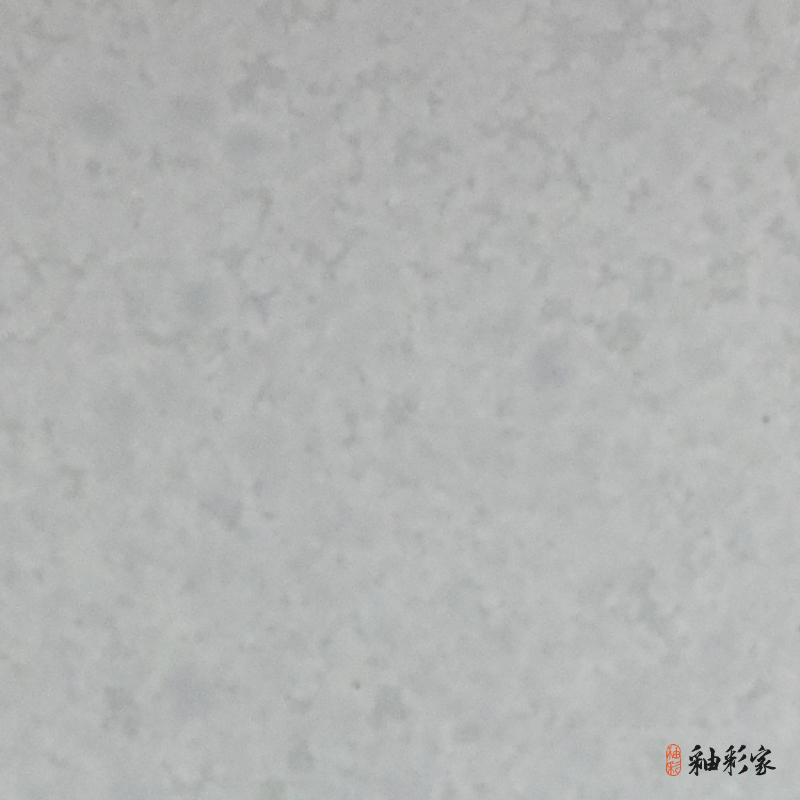 爛漫桐花-白桐花