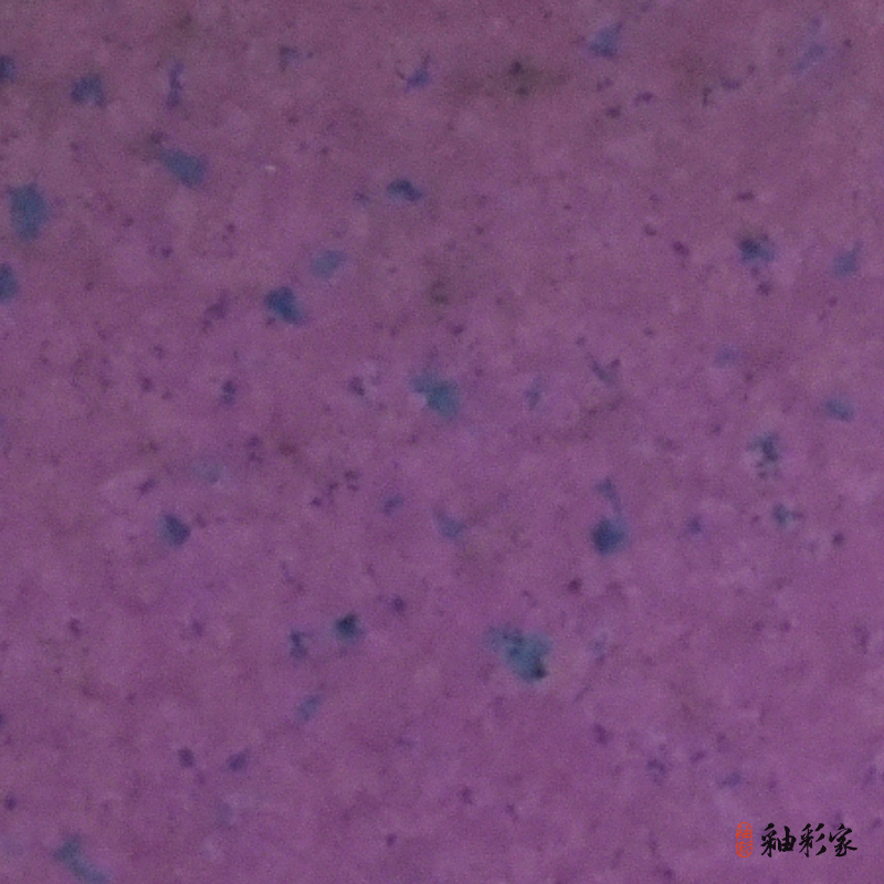 紫鳳銜花-紫晶花