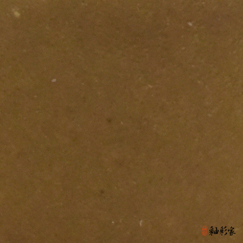 駝裘冰河-駝色泡