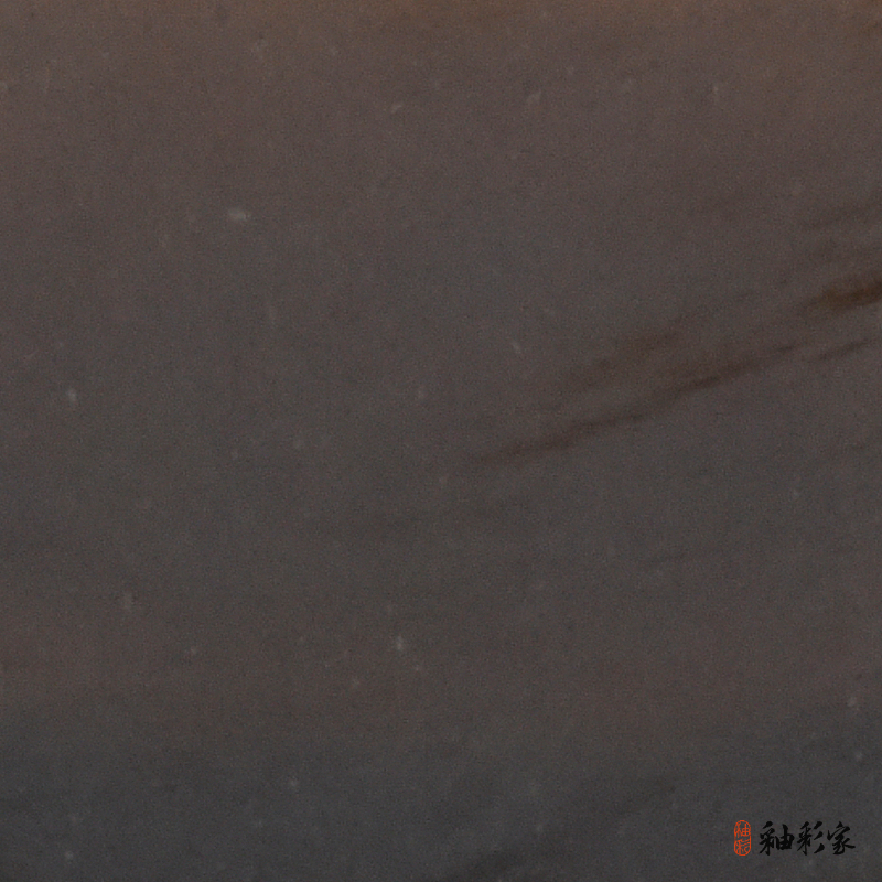 翠落苔磯-苔磯棕