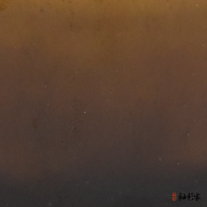 翠落苔磯-苔磯棕